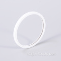 Kimia Korosi Tahan Piston Seal Ring PTB Bore